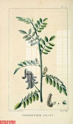 File tranh trang trí Tranh sơn dầu phương tây tổng hợp STS21791 (file gốc)