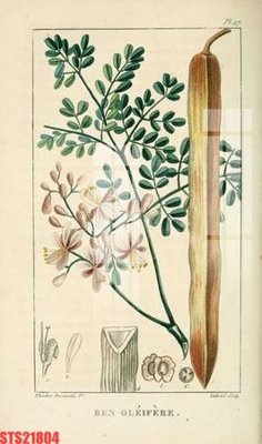 Tải file gốc Tranh sơn dầu phương tây tổng hợp STS21804 (in khổ lớn) không mờ