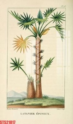 Download file ảnh gốc Tranh sơn dầu phương tây tổng hợp STS21817 để in ấn