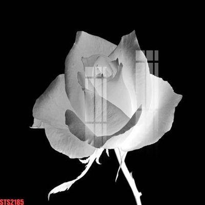 Tải file gốc Tranh sơn dầu phương tây tổng hợp STS2185 (in không vỡ ảnh)