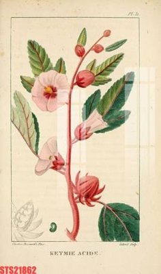 File gốc Tranh sơn dầu phương tây tổng hợp STS21862 (in mica) làm quà tặng