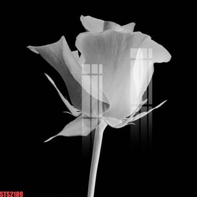 File PSD Tranh sơn dầu phương tây tổng hợp STS2189 (bản gốc) cho nhà in