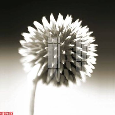 File tranh in trần 3D Tranh sơn dầu phương tây tổng hợp STS2192 (ảnh gốc)