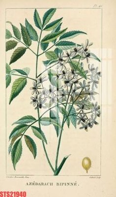 Download file Tranh sơn dầu phương tây tổng hợp STS21940 (chuẩn in) Tranh sơn dầu phương tây tổng hợp STS21940