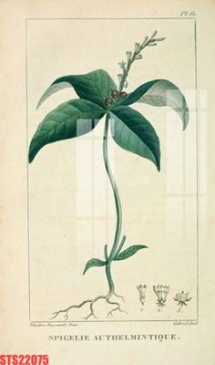 Tải xuống file tranh gốc Tranh sơn dầu phương tây tổng hợp STS22075 (PSD/TIFF)