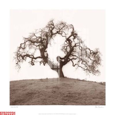 Tải file gốc Tranh sơn dầu phương tây tổng hợp STS22231 (bản PSD) chỉnh sửa được