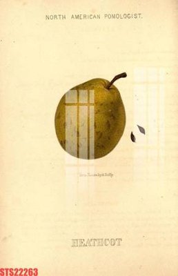 File PSD Tranh sơn dầu phương tây tổng hợp STS22263 (nguyên gốc) chất lượng cao