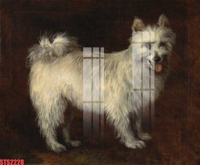 File tranh Tranh sơn dầu phương tây tổng hợp STS2228 (ảnh gốc) in trần nhà