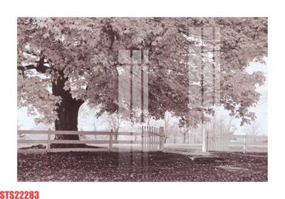 File PSD Tranh sơn dầu phương tây tổng hợp STS22283 (gốc) cho in quảng cáo