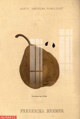 Chi tiết file gốc Tranh sơn dầu phương tây tổng hợp STS22359 (cho in tráng gương)