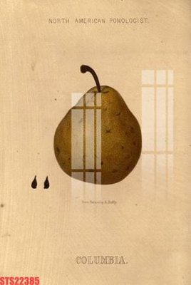 File tranh gốc Tranh sơn dầu phương tây tổng hợp STS22385 (bản quyền) Filetranh.com