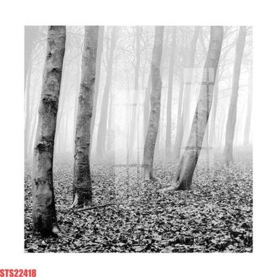 Download file gốc Tranh sơn dầu phương tây tổng hợp STS22418 (in mica) trong suốt