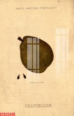 Tải file Tranh sơn dầu phương tây tổng hợp STS22476 (gốc) làm file tranh quảng cáo