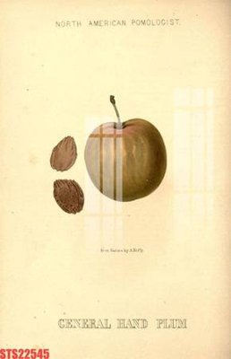 File gốc Tranh sơn dầu phương tây tổng hợp STS22545 (in lụa) họa tiết 3D