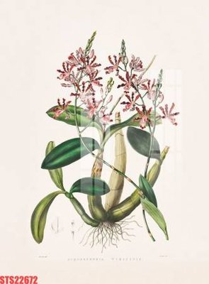 File tranh Tranh sơn dầu phương tây tổng hợp STS22672 (bản gốc) in canvas