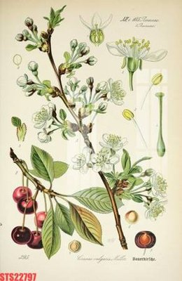 Tải file Tranh sơn dầu phương tây tổng hợp STS22797 (gốc) làm tranh trang trí