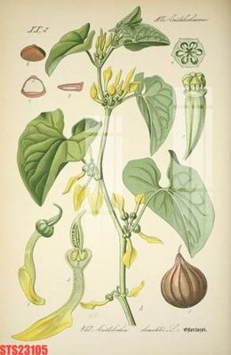 File tranh quảng cáo Tranh sơn dầu phương tây tổng hợp STS23105 (file gốc) chuyên nghiệp