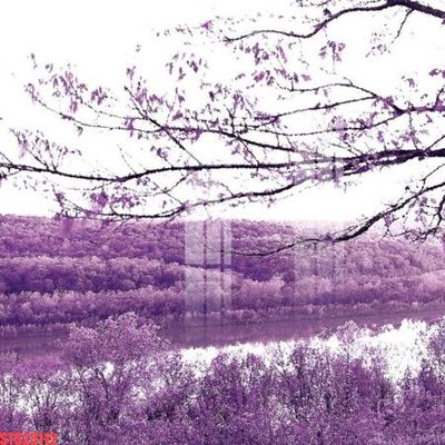 File in ấn Tranh sơn dầu phương tây tổng hợp STS23112 (bản gốc) cao cấp