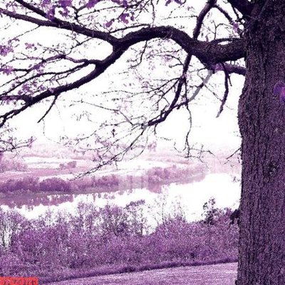 File PSD Tranh sơn dầu phương tây tổng hợp STS23125 (gốc) nhiều lớp (multi-layer)