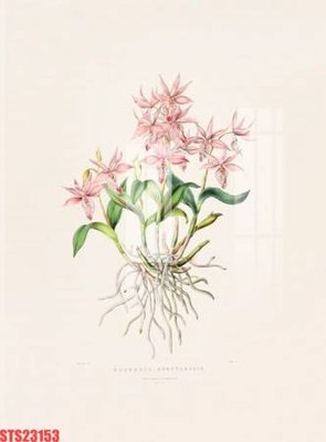 Hình ảnh file gốc Tranh sơn dầu phương tây tổng hợp STS23153 cho in UV