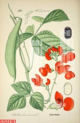 File tranh trang trí Tranh sơn dầu phương tây tổng hợp STS23161 (tải file gốc)