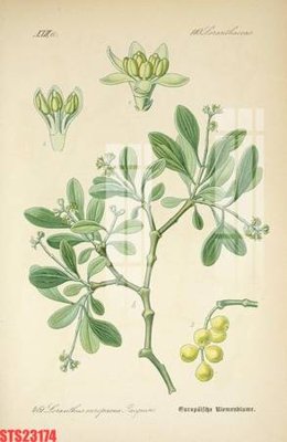 File ảnh Tranh sơn dầu phương tây tổng hợp STS23174 (gốc) in Hiflex