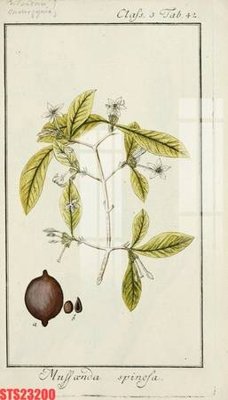 Tải file Tranh sơn dầu phương tây tổng hợp STS23200 (gốc) in ấn chất lượng