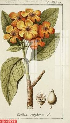 File tranh Tranh sơn dầu phương tây tổng hợp STS23226 (bản gốc) treo quán cafe