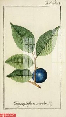 File tranh gốc Tranh sơn dầu phương tây tổng hợp STS23250 chủ đề hiện đại