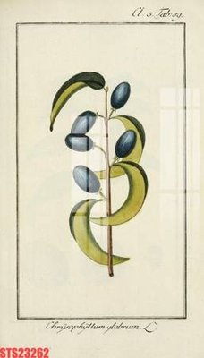 File gốc Tranh sơn dầu phương tây tổng hợp STS23262 (PNG) chất lượng cao