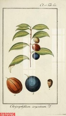 Download file Tranh sơn dầu phương tây tổng hợp STS23274 (gốc) in mica ốp bếp