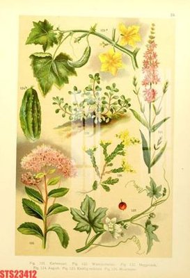 Tải file Tranh sơn dầu phương tây tổng hợp STS23412 (gốc) làm file quảng cáo