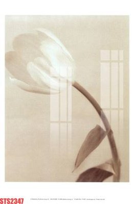 Tải file tranh gốc Tranh sơn dầu phương tây tổng hợp STS2347 chất lượng cao