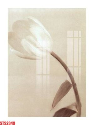 Tải file Tranh sơn dầu phương tây tổng hợp STS2349 (gốc) in trên mọi chất liệu