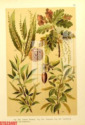 File tranh Tranh sơn dầu phương tây tổng hợp STS23491 (ảnh gốc) độ nét vượt trội