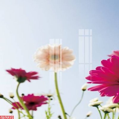 File tranh Tranh sơn dầu phương tây tổng hợp STS2351 (ảnh gốc) chi tiết rõ ràng