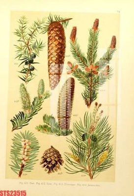 File gốc Tranh sơn dầu phương tây tổng hợp STS23515 (PNG) nền trong suốt