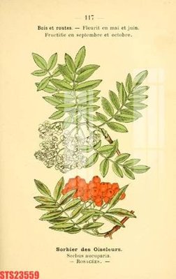 File tranh Tranh sơn dầu phương tây tổng hợp STS23559 (bản gốc) treo phòng ăn