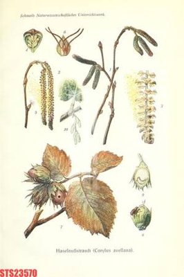 File in trần Tranh sơn dầu phương tây tổng hợp STS23570 (bản gốc) phong cảnh