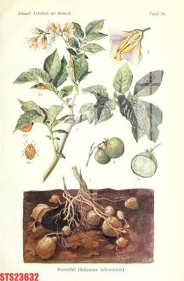 File gốc Tranh sơn dầu phương tây tổng hợp STS23632 (phong cách) tối giản