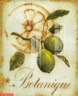 File gốc Tranh sơn dầu phương tây tổng hợp STS23858 (in lụa) trang trí tường