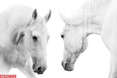 Tải file Tranh sơn dầu phương tây tổng hợp STS24069 (gốc) in nhanh