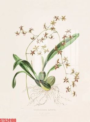 File ảnh Tranh sơn dầu phương tây tổng hợp STS24108 (gốc) in backdrop sự kiện