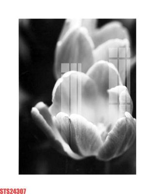 Tải file gốc Tranh sơn dầu phương tây tổng hợp STS24307 dùng cho in ấn