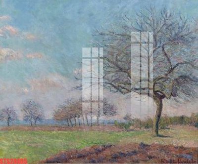 Tải file Tranh sơn dầu phương tây tổng hợp STS24405 (gốc) chủ đề hoa sen