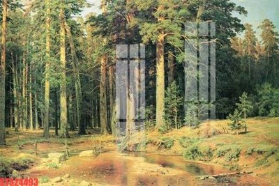 File tranh Tranh sơn dầu phương tây tổng hợp STS24493 (bản gốc) in lụa 3D