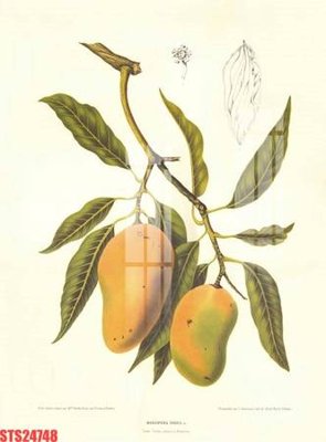 File PSD in ấn Tranh sơn dầu phương tây tổng hợp STS24748 (chất lượng cao)