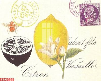 File tranh Tranh sơn dầu phương tây tổng hợp STS25995 (gốc) chủ đề trẻ em