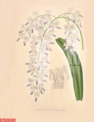 File gốc Tranh sơn dầu phương tây tổng hợp STS26197 (PSD/TIFF) độ phân giải cao