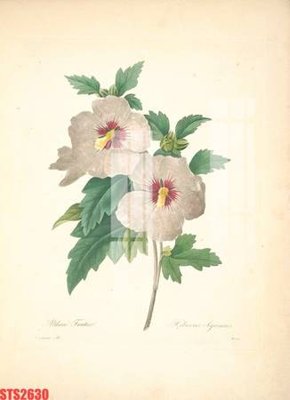 File gốc Tranh sơn dầu phương tây tổng hợp STS2630 (trang trí) cho phòng khách